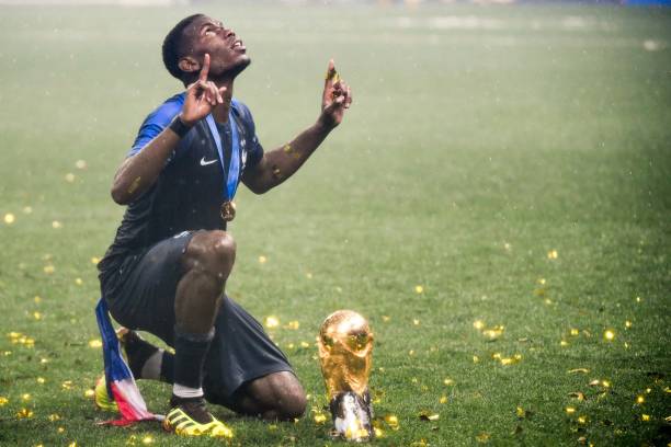 动的发展与 动的发展与